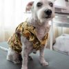 pet01 01